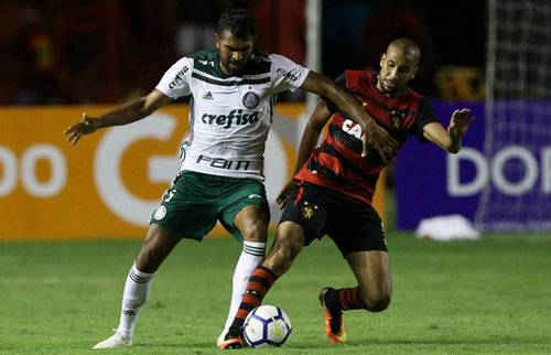 Maillot_Palmeiras_2018_2019_pas_cher_(2)